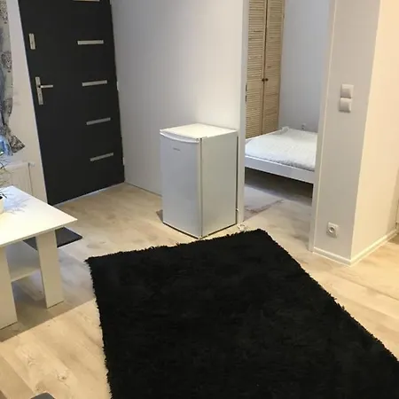 Pokoje Goscinne Boryna Schreiberhau Exterior foto
