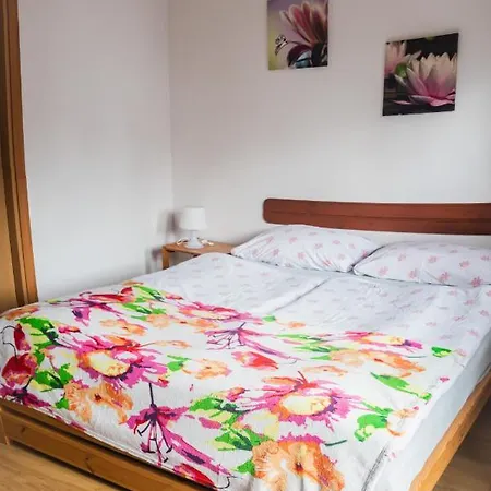 Pokoje Goscinne Boryna Schreiberhau Exterior foto