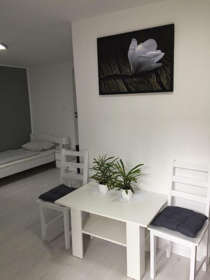 Goscinne Boryna Homestay *